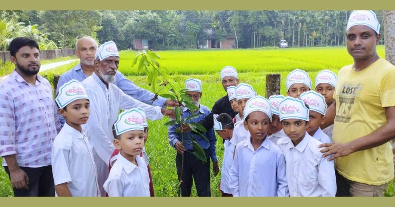 আব্দুল গাফ্ফারের পক্ষ থেকে বৃক্ষরোপণ কর্মসূচী