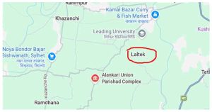 বিশ্বনাথে মা ও ভাইয়ের পর তরুণীর আত্মহনন