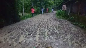 20260806 124529